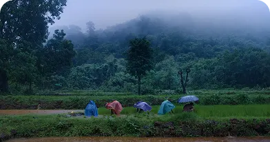 Vegetable Production Training Camp